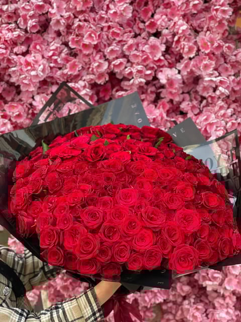 Large bouquet of deep red roses wrapped in black paper, held in front of pink carnations